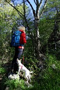 10 Curioso barometro a corda, appeso ad un albero
